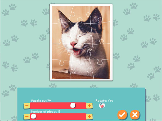 1001 Jigsaw Cute Cats