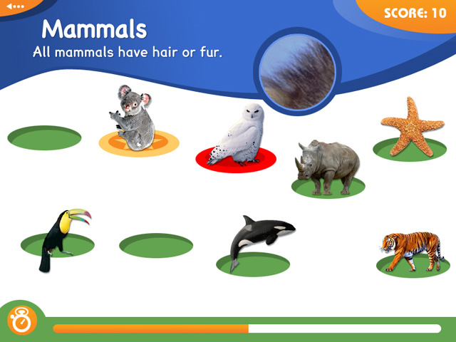 Animal Genius