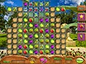 Dream Fruit Farm