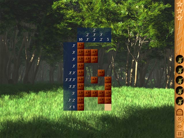Forest Riddles