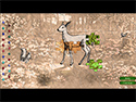 Jewel Match: Naturescapes