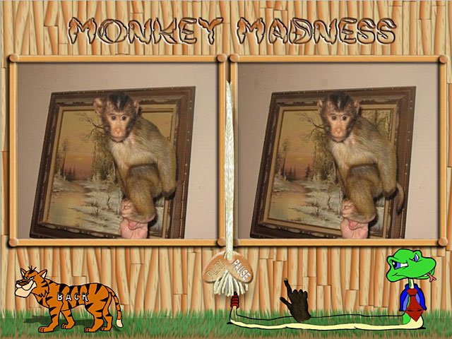 Monkey Mania